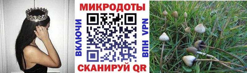 наркотики  Салехард  Галлюциногенные грибы Magic Shrooms 