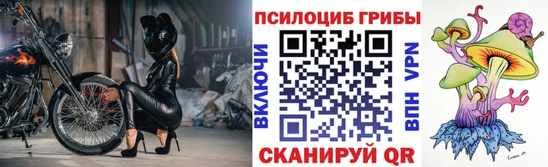 Галлюциногенные грибы Magic Shrooms Салехард